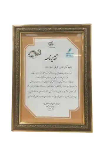 لوح تقدیر از نمایندگی های گروه صنعتی سینور پویا